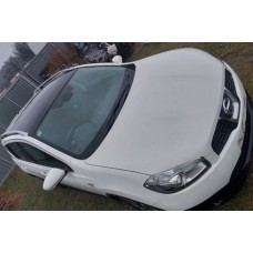 криша панорама NISSAN QASHQAI j10 color 326