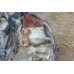 четверть задня права almera n16 хечбек 5d