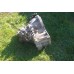 кпп 2,2 nissan x trail  t30