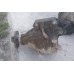 Раздаточная коробка мкпп x-trail (t31) 2007-2012 33100jd600